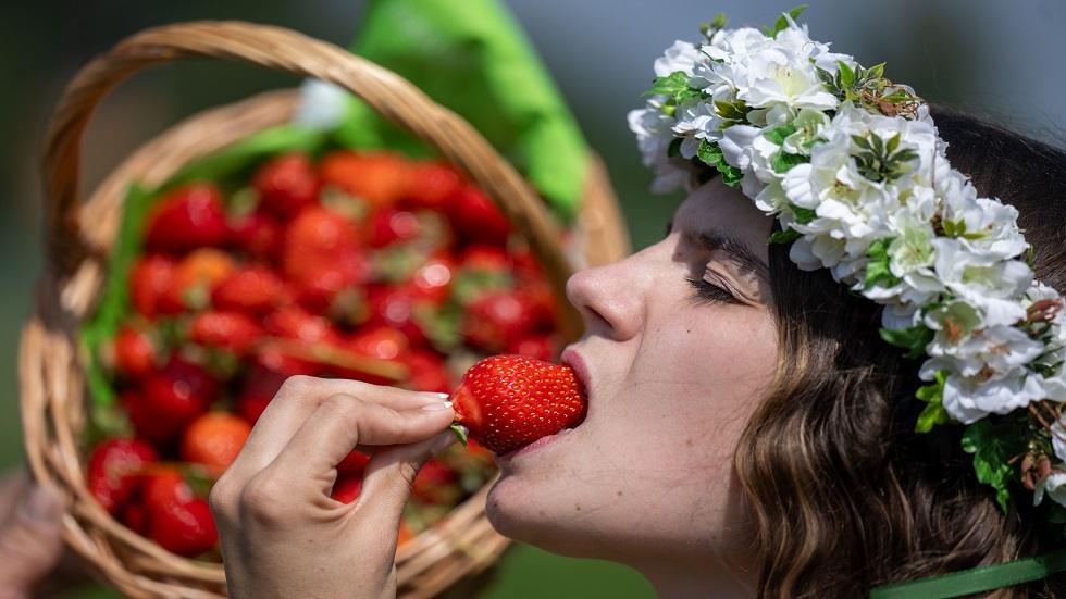 “تعزز منظومة المناعة”.. فوائد الفراولة للصحة “تعزز منظومة المناعة”.. فوائد الفراولة للصحة