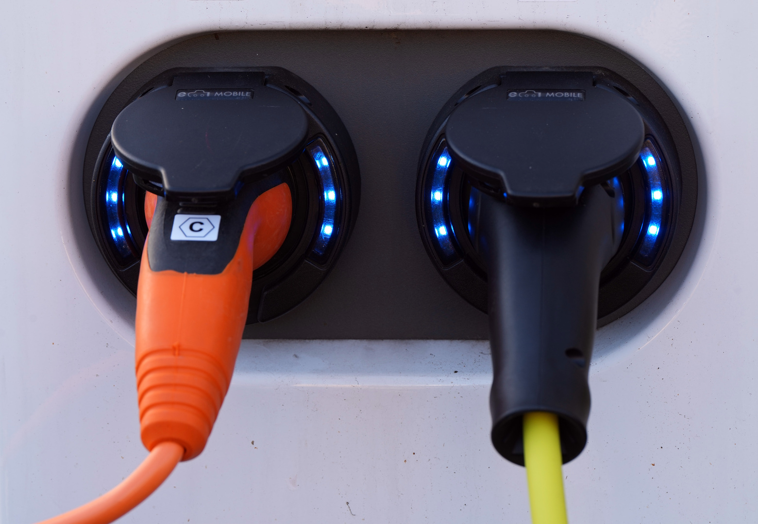 مصر تعلن عن فرصة ذهبية لمواطنيها في الإمارات