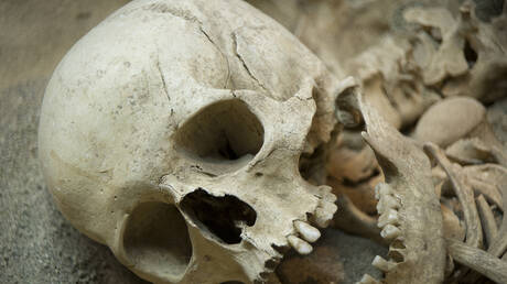 علماء الآثار يعيدون تشكيل وجه أنثى إنسان نياندرتال دفنت في كهف...