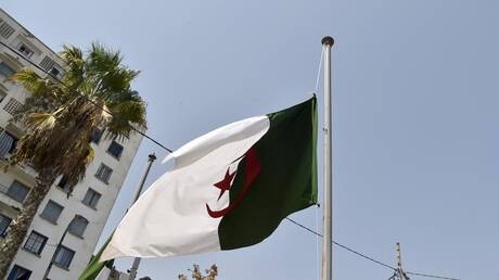 الجزائر.. السماح لأفراد الجالية الوطنية بالدخول إلى البلاد بإظهار بطاقة التعريف