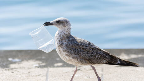 دراسة: النفايات البلاستيكية في المحيطات تطلق مواد كيميائية سامة