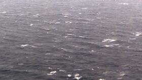 غرق سفينة في البحر الأسود طاقمها من السوريين والمصريين