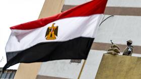مصر.. قرار جديد من نيابة بورسعيد بحق المتهمة بتخدير طفلها لاستخراج أعضائه وبيعها