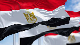مصر.. القبض على أحمد الطنطاوي لتنفيذ حبسه سنة بقضية