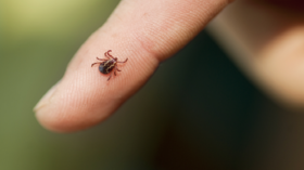 صحيفة بريطانية تؤكد انتشار