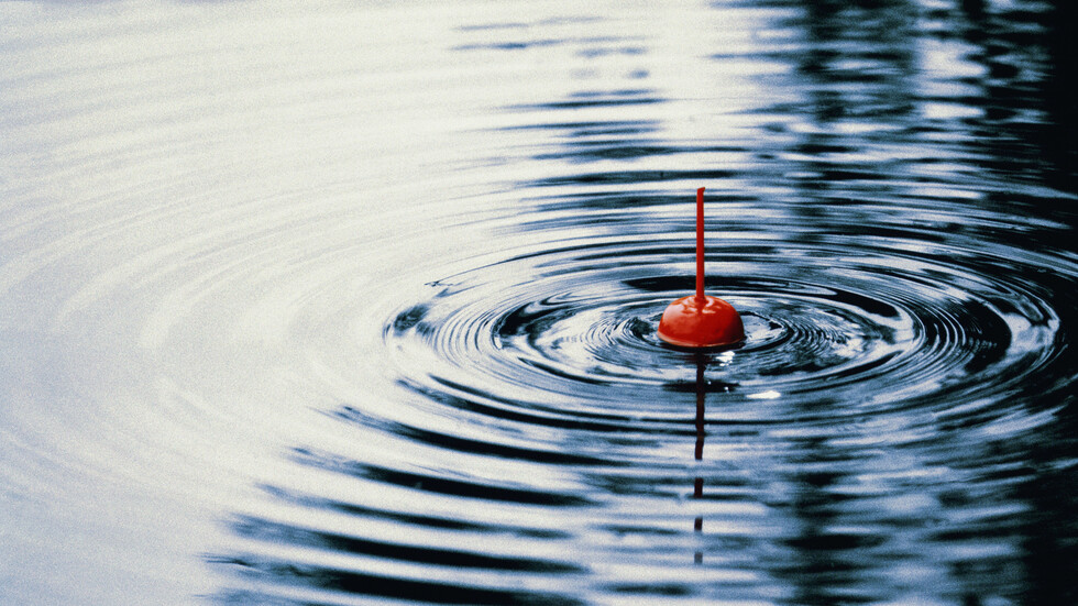 زوجان يعثران على خزانة مليئة بالأموال في بحيرة (فيديو)