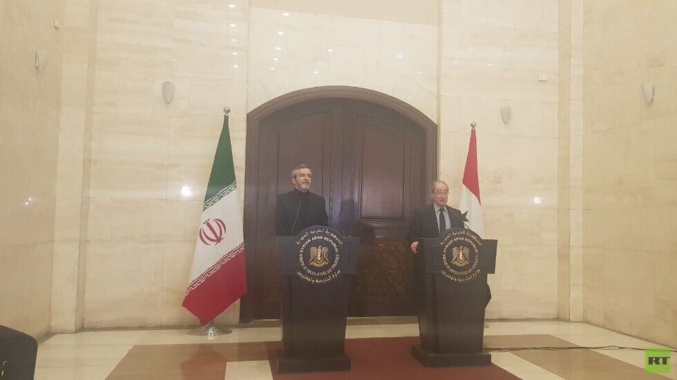 باقري من دمشق: استدامة الأمن والاستقرار في المنطقة رهن بعدم تواجد الأجانب