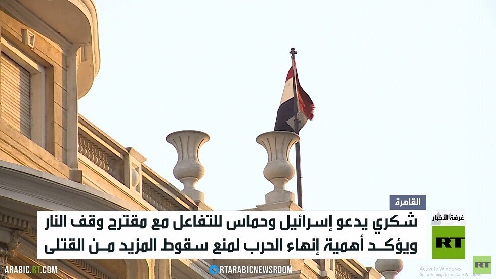 شكري: هناك توافق دولي على وقف النار بغزة