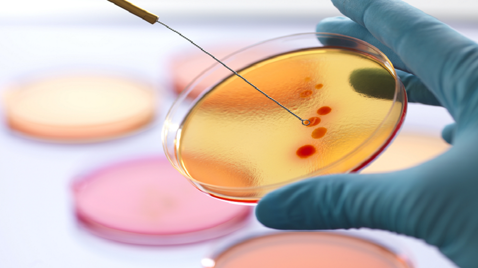 اكتشاف مضاد حيوي "يغيّر" قواعد اللعبة في علاج العدوى المزمنة