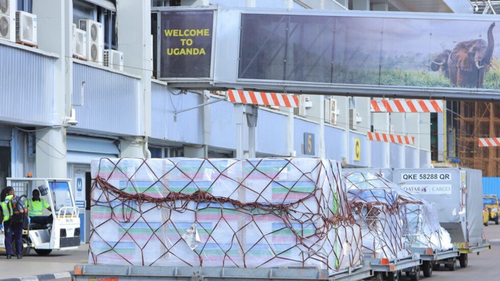 أوغندا تسترد 39 قطة أثرية من جامعة "كمبريدج" البريطانية (صور)