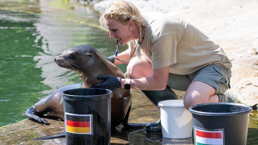 ألمانيا وهنغاريا اليوم في 