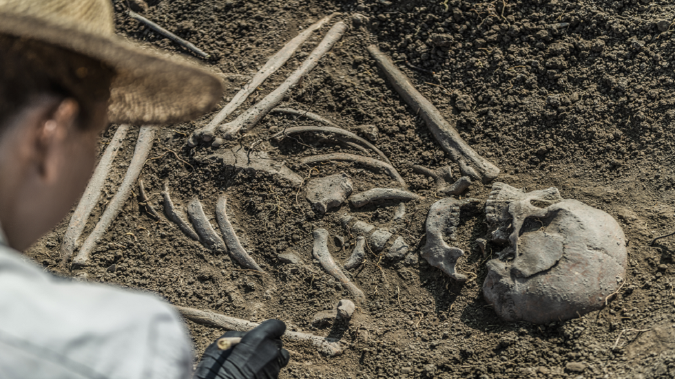 المغرب.. علماء يكشفون عن وجه أول "إنسان عاقل" في العالم!