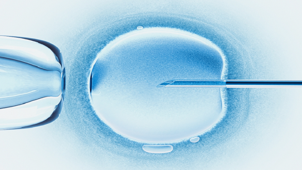 "اكتشاف مفاجئ" قد يحمل مفتاح تعزيز الخصوبة