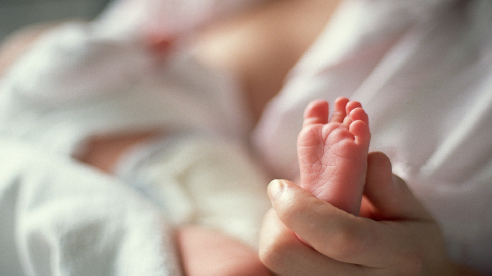 اكتشاف آلية انتقال 