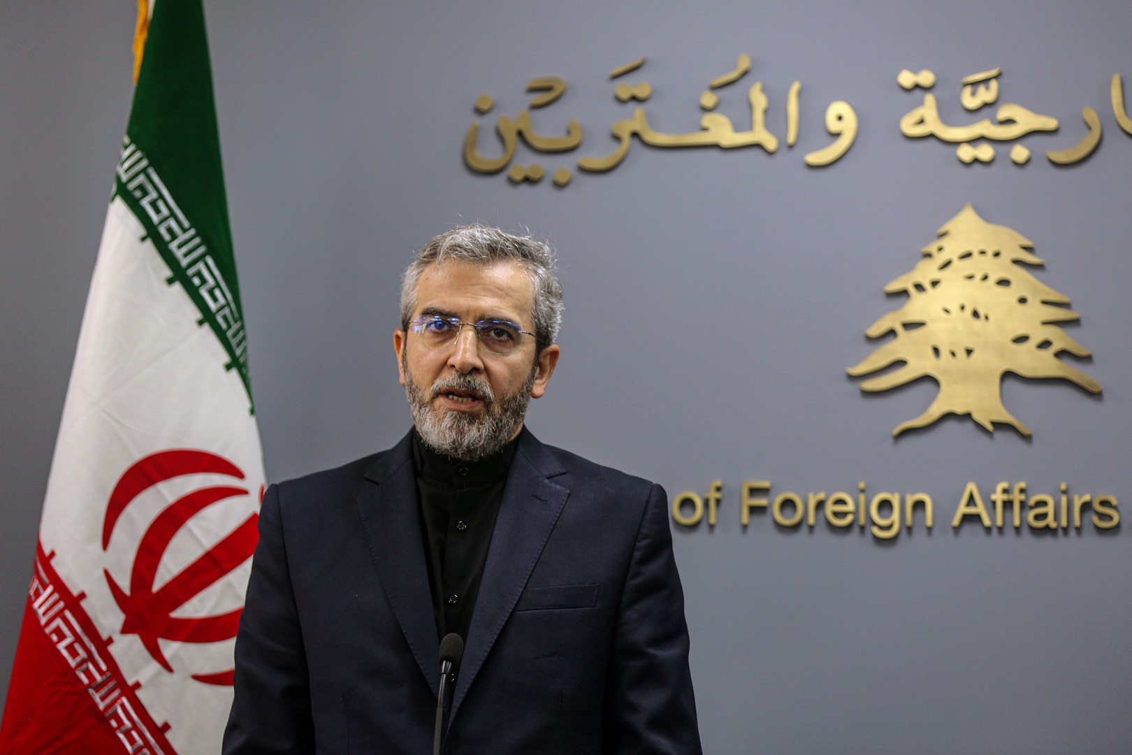 القائم بأعمال وزير الخارجية الإيراني علي باقري كني