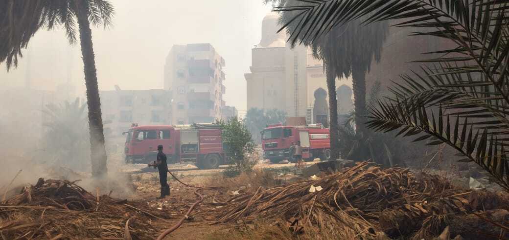 حريق كبير يلتهم 300 نخلة في محافظة الوادي الجديد المصرية