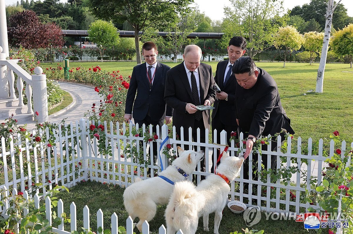 كيم يهدي بوتين زوجا من كلاب 