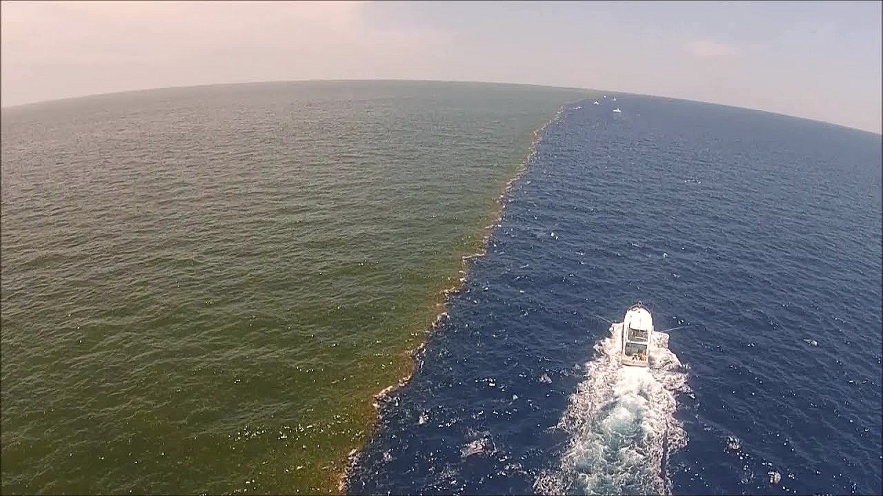 ناسا: شاطئ البحر الأسود يغير لونه