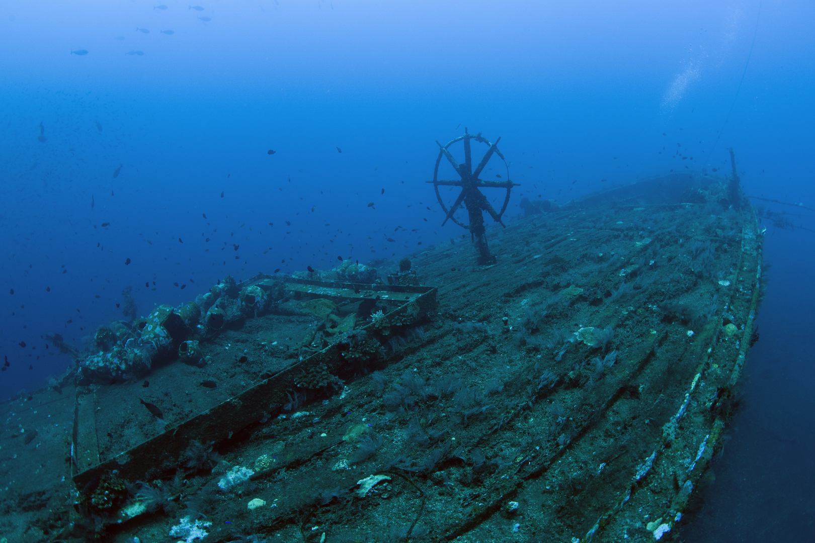 سفينة عمرها 3 آلاف عام قبالة الساحل الإسرائيلي تكشف مدى جرأة البحارة القدماء
