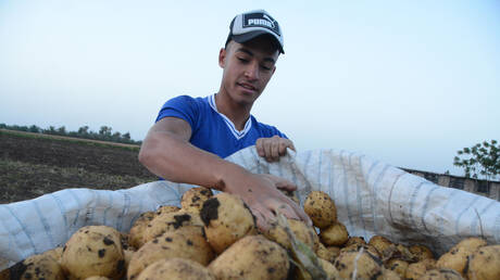 صورة تعبيرية