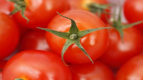 فوائد خاصة للطماطم في تعزيز صحة الرجال