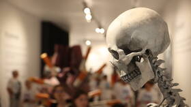 عالم آثار مصري شهير يطالب بإغلاق متحف إنجليزي