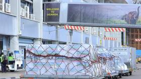 أوغندا تسترد 39 قطة أثرية من جامعة "كمبريدج" البريطانية (صور)