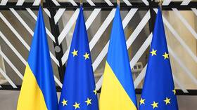 الاتحاد الأوروبي يشكل لجنة لمكافحة سرقة المساعدات الغربية في أوكرانيا