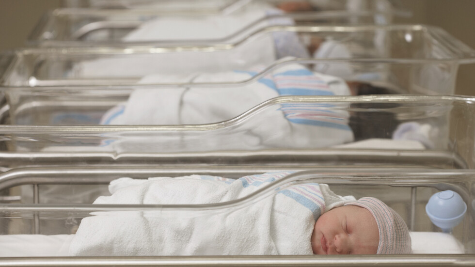 الأسماء الأكثر شيوعا في إسرائيل في عام 2023