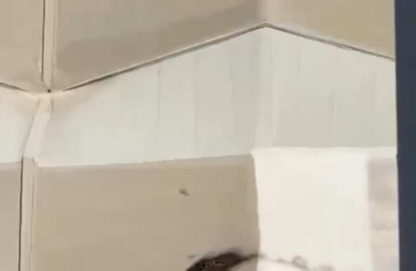 شاهد.. إصابة مجمع تجاري في عكا بصاروخ