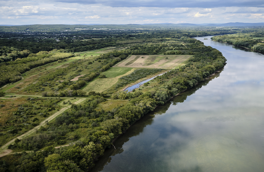 نادرة الظهور.. اصطياد السمكة "مصاصة الدماء"