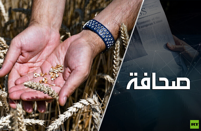 أوكرانيا تسعى إلى صفقة حبوب وروسيا تريد تنفيذ اتفاقات اسطنبول