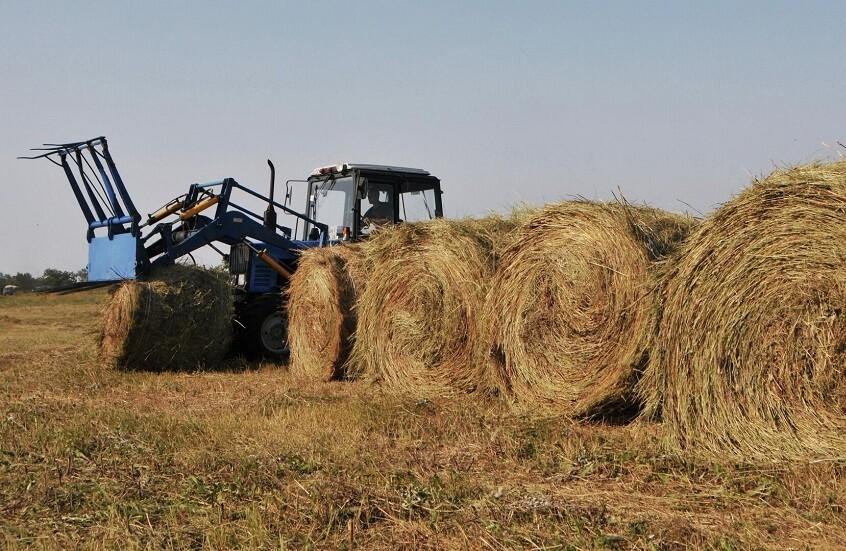 روسيا.. ابتكار مصدر بديل للطاقة من القش