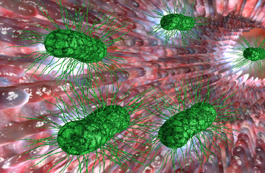 ما علاقة القلق الاجتماعي بصحة الأمعاء؟