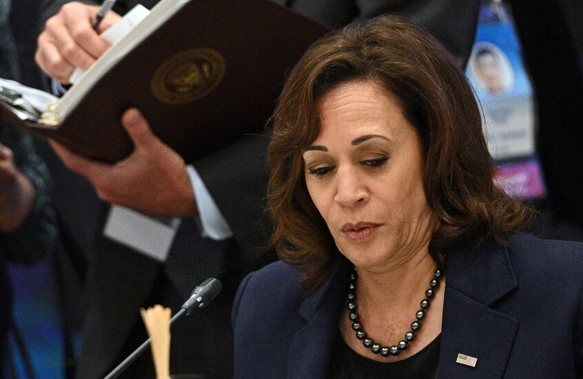 نيوزويك: كامالا هاريس تتصدر قائمة المتنافسين لنيل ترشيح الحزب الديمقراطي للانتخابات الرئاسية