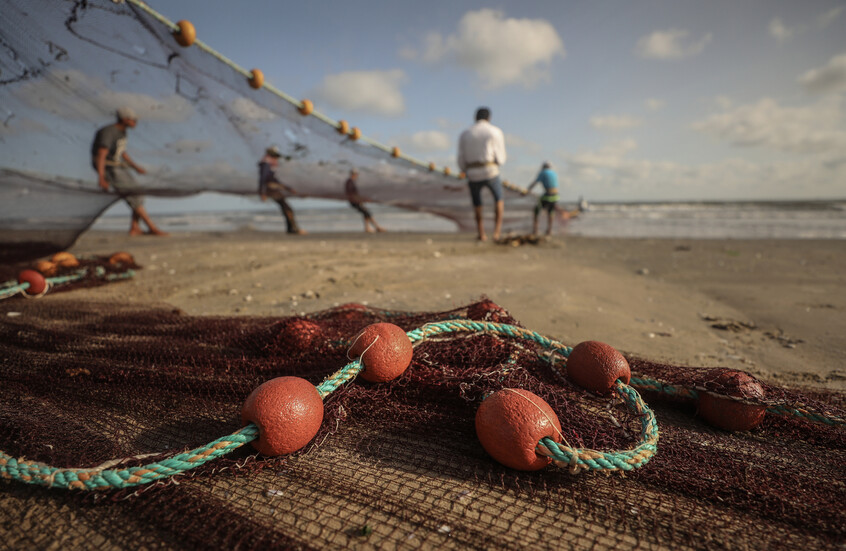 مصر.. ما حقيقة ظهور