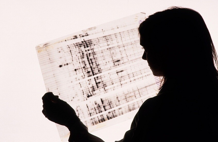 ليبيا.. التعرف على هوية أربع حالات جديدة من مفقودي 2011 و2013 و2014