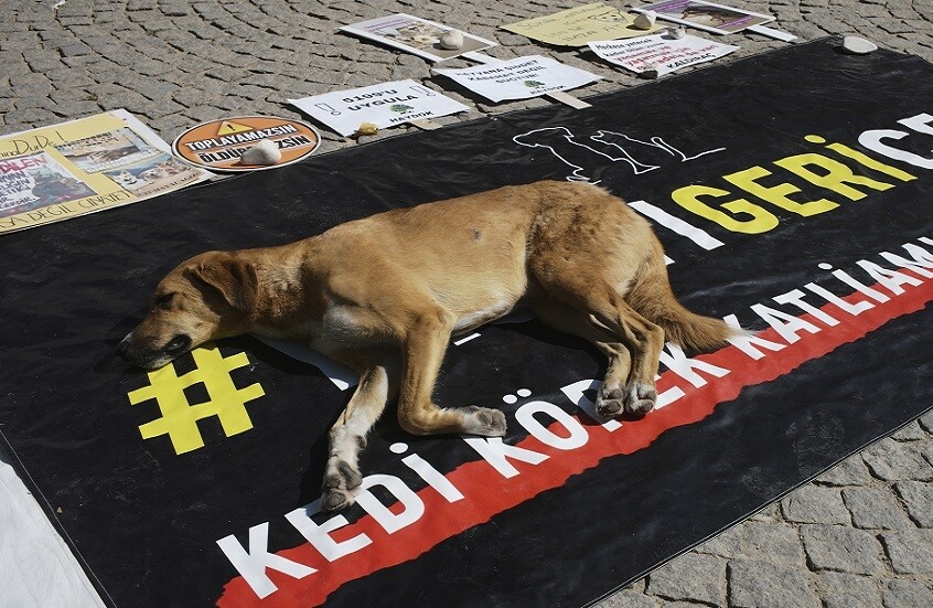 البرلمان التركي يقر تشريعا وصفته المعارضة بـ"قانون المذبحة"