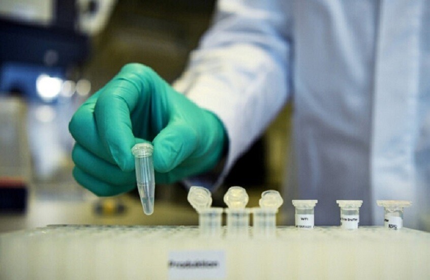 اكتشاف بؤرتين للحمى المالطية شمال تونس