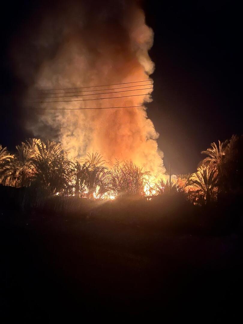 مصر.. حريق هائل يلتهم مزارع نخيل في الوادي الجديد (صور + فيديو)