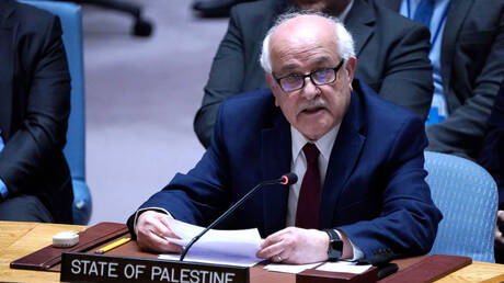 "نكبة واحدة أكثر من كافية".. سفير فلسطين: تمكنا في نيويورك من توحيد الموقف العربي وفق 3 أهداف