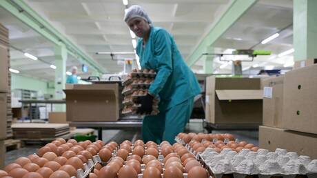 الاتحاد الأوروبي يعيد فرض رسوم الاستيراد على السكر وبيض الدجاج من أوكرانيا