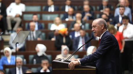 أردوغان: هناك إمكانية لاتخاذ خطوات إضافية من أجل السلام في سوريا
