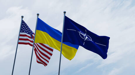 "التلغراف": الناتو لن يوجه الدعوة إلى أوكرانيا للانضمام بسبب الفساد