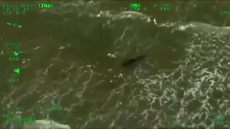 رصد سمكة قرش قرب أحد شواطئ تكساس الأمريكية بعد هجومها على مصطافين
