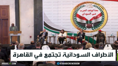 القاهرة: حل أزمة السودان بأيدي أبنائها