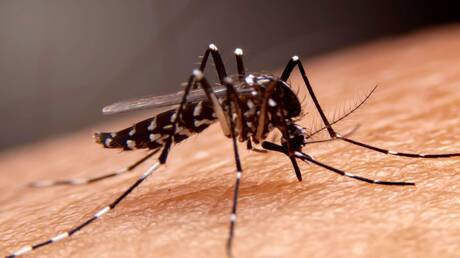 وزارة الصحة الفلسطينية تسجل أول إصابة بمرض حمى النيل الغربي