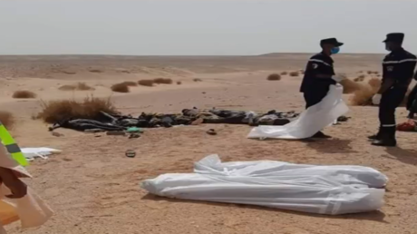 لحظة العثور على 12 سوريا لقوا حتفهم في صحراء الجزائر أثناء محاولتهم الهجرة إلى أوروبا