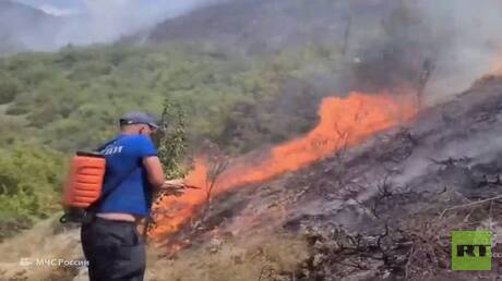 وزارة الطوارئ الروسية تكافح حرائق الغابات في شبه جزيرة القرم