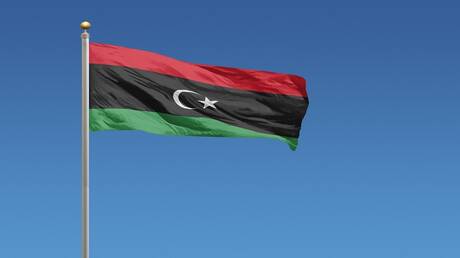 لجنة متابعة السجناء السياسيين تطالب اليابان برفع العقوبات عن أسرة القذافي وعدد من الليبيين
